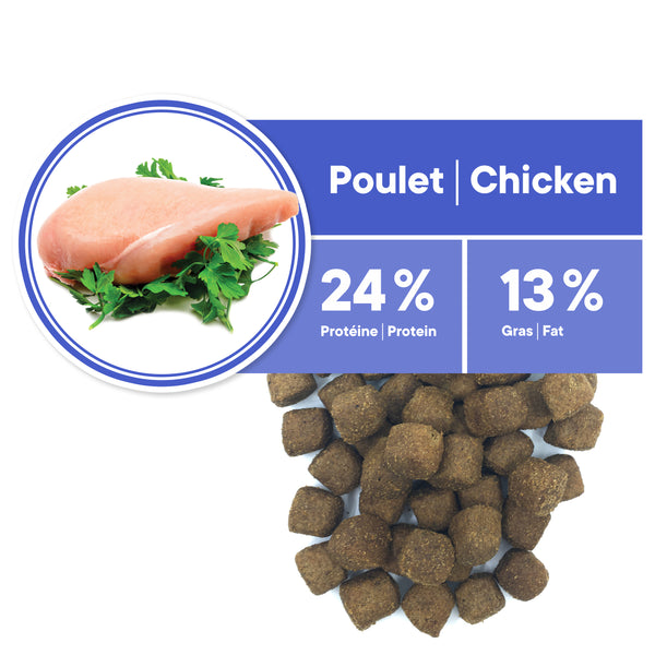 Nourriture pour chien adulte, toutes races, santé dentaire - poulet