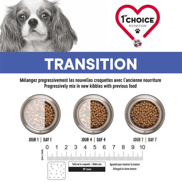 Nourriture pour chien adulte, toutes races, santé dentaire - poulet