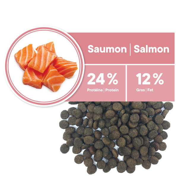 Nourriture pour chien adulte, toutes races, derma - saumon