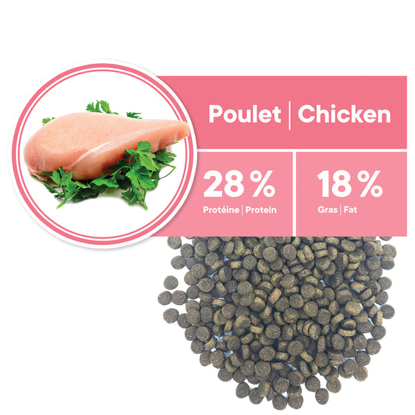 Nourriture pour chat adulte, intérieur vitalité - poulet