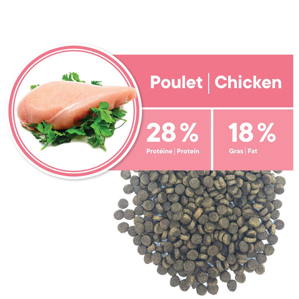 Nourriture pour chat adulte, intérieur vitalité - poulet