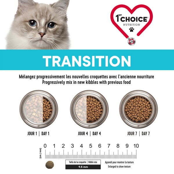Nourriture pour chat adulte, peau et pelage santé - saumon