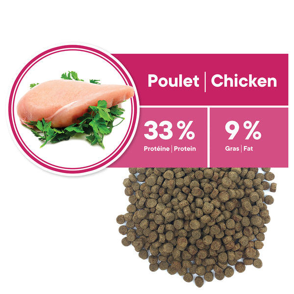 Nourriture pour chat adulte, stérilisé - poulet sans grains