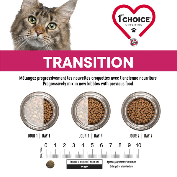 Nourriture pour chat adulte, stérilisé - poulet sans grains