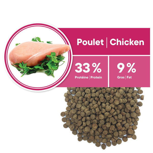 Nourriture pour chat adulte, stérilisé - poulet sans grains