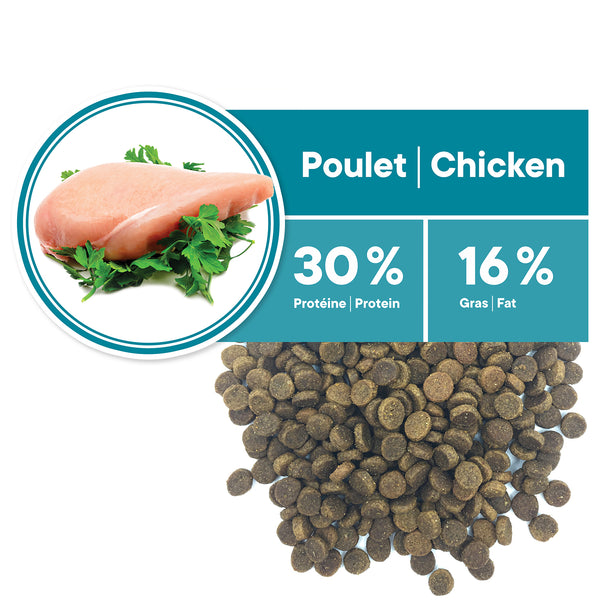 Nourriture pour chat adulte, santé urinaire - poulet - Animatout