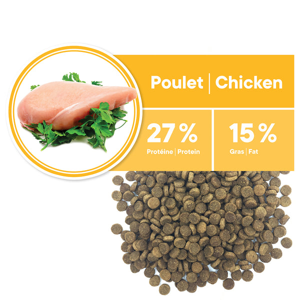 Nourriture pour chat, mature et moins actif - poulet - Animatout