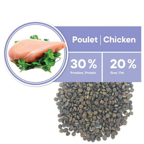 Nourriture pour chaton, départ santé - poulet