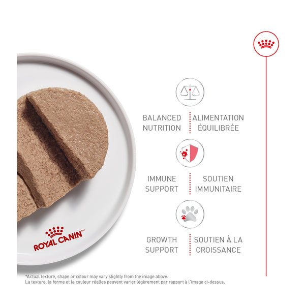 CHATON PÂTÉ EN SAUCE – nourriture en conserve pour chatons