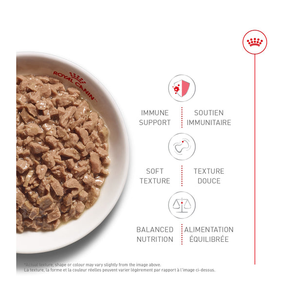 CHATON FINES TRANCHES EN SAUCE – nourriture en conserve pour chatons, 85 g, (3 oz)