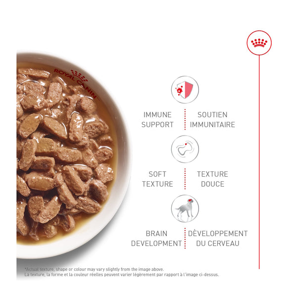 GRAND CHIOT FINES TRANCHES EN SAUCE – nourriture en conserve pour chiots, 370 g, (13 oz)