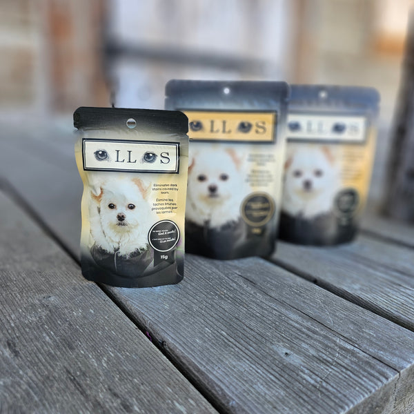 Ollos, solution naturelle pour les yeux tachés des chiens
