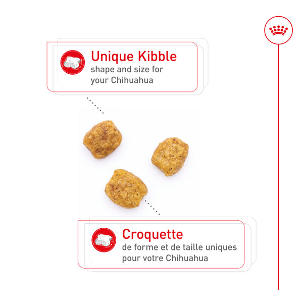 CHIHUAHUA ADULTE – nourriture sèche pour chiens