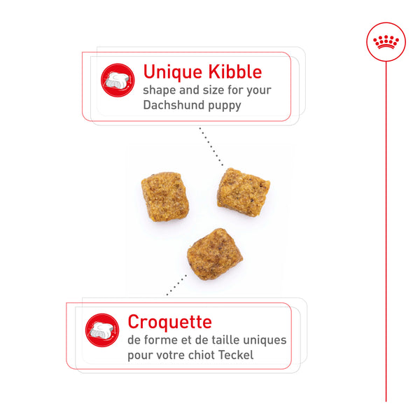 CHIOT TECKEL – nourriture sèche pour chiots, 1.1 kg, (2.5 lb)
