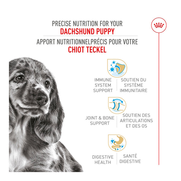 CHIOT TECKEL – nourriture sèche pour chiots, 1.1 kg, (2.5 lb)