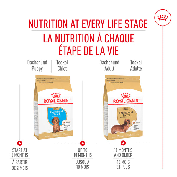 CHIOT CHIHUAHUA – nourriture sèche pour chiots, 1.1 kg, (2.5 lb)