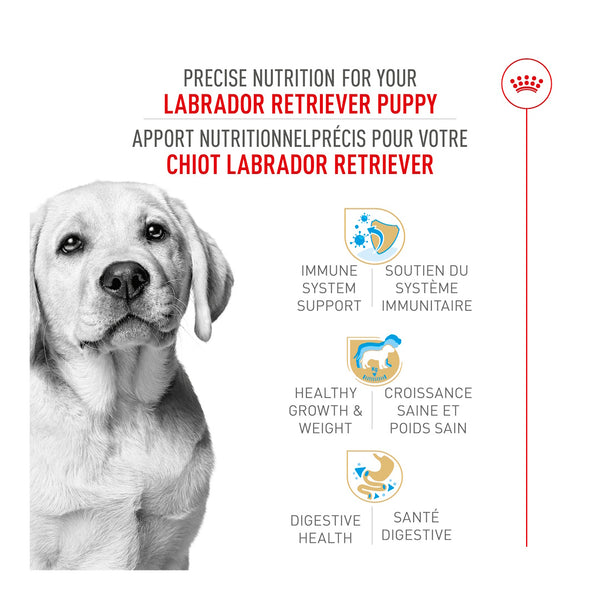 CHIOT LABRADOR RETRIEVER – nourriture sèche pour chiots, 13.6 kg, (30 lb)