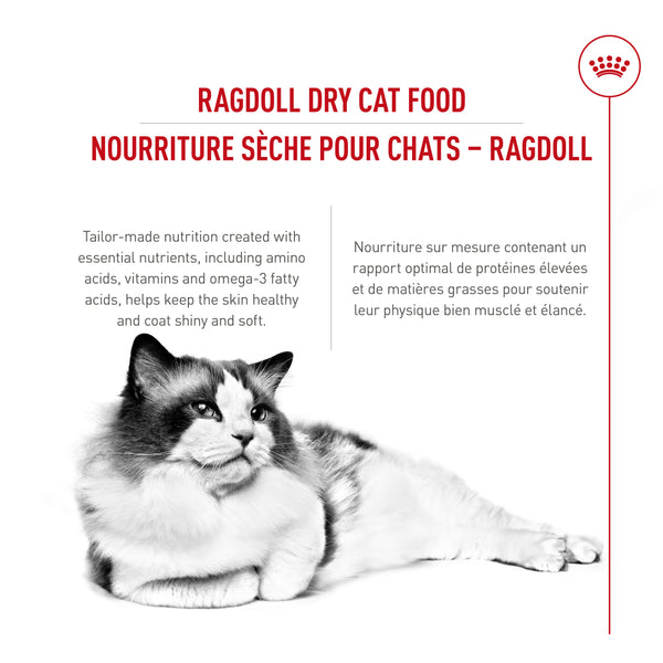 RAGDOLL ADULTE – nourriture sèche pour chats, 3.2 kg, (7 lb)