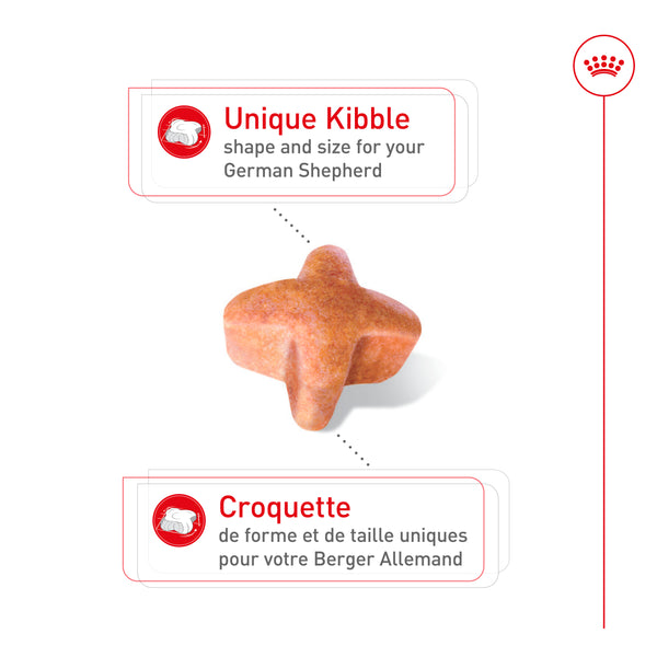 BERGER ALLEMAND ADULTE – nourriture sèche pour chiens