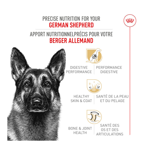 BERGER ALLEMAND ADULTE – nourriture sèche pour chiens