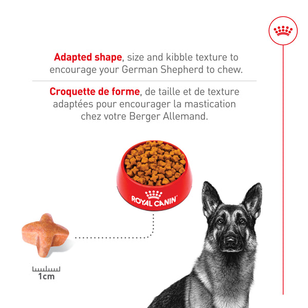 BERGER ALLEMAND ADULTE – nourriture sèche pour chiens