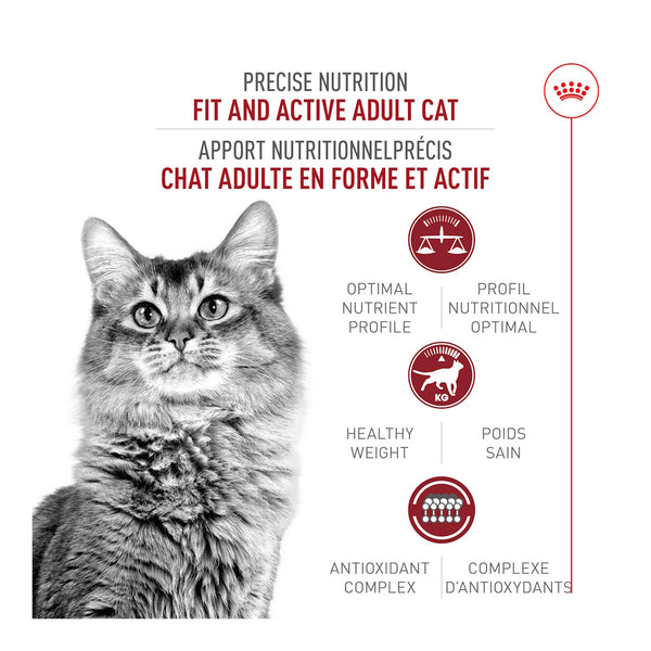 FIT ET ACTIF – nourriture sèche pour chats