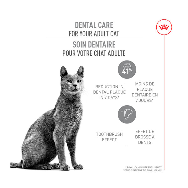 SOIN DENTAIRE – nourriture sèche pour chats