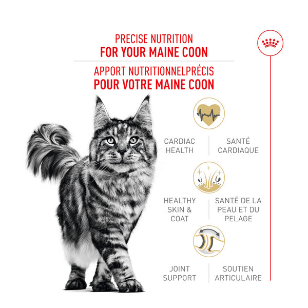 MAINE COON ADULTE – nourriture sèche pour chats, 2.7 kg, (6 lb)