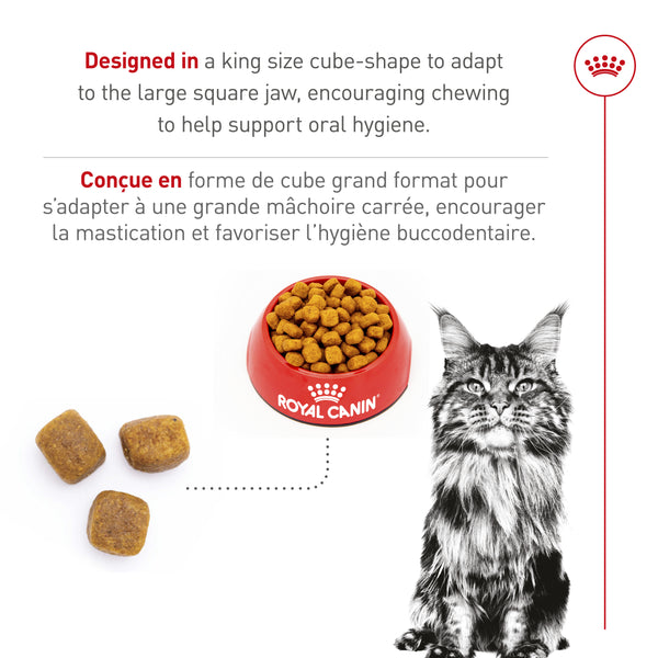 MAINE COON ADULTE – nourriture sèche pour chats, 2.7 kg, (6 lb)