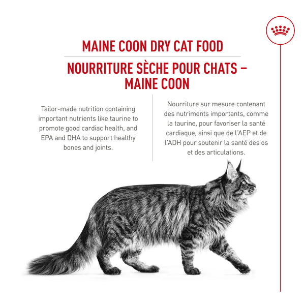MAINE COON ADULTE – nourriture sèche pour chats, 2.7 kg, (6 lb)