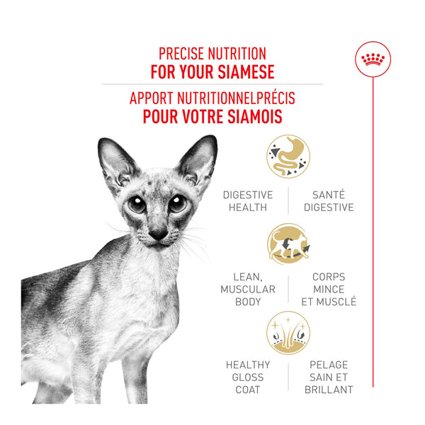 SIAMOIS ADULTE – nourriture sèche pour chats