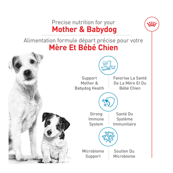 FORMULE DÉPART MÈRE ET BÉBÉ CHIEN – nourriture sèche pour chiots, 1.14 kg, (2.5 lb)