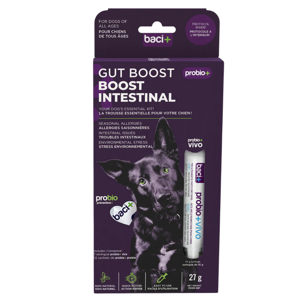 Trousse Boost intestinal pour chien 27 g