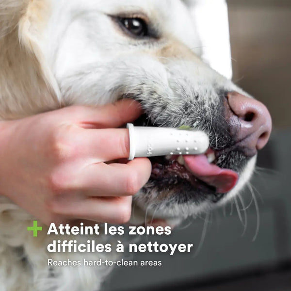 Brosse à dents pour doigt pour chiens et chats