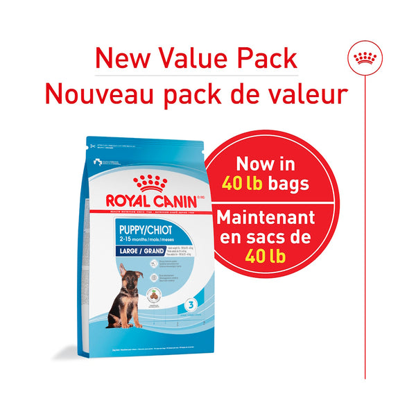 GRAND CHIOT – nourriture sèche pour chiots