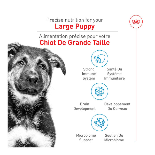GRAND CHIOT – nourriture sèche pour chiots