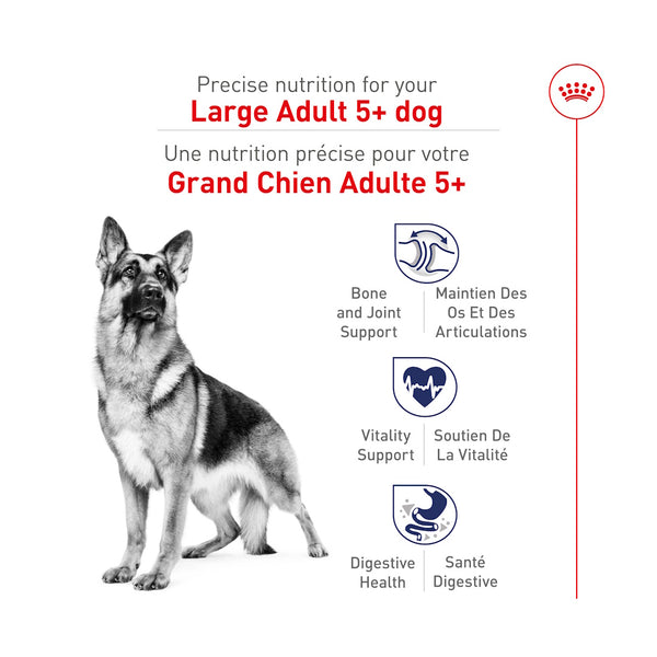 GRAND ADULTE 5+ – nourriture sèche pour chiens, 13.61 kg, (30 lb)
