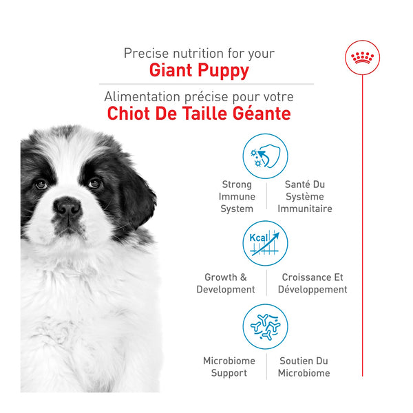 GÉANT CHIOT – nourriture sèche pour chiots, 13.61 kg, (30 lb)
