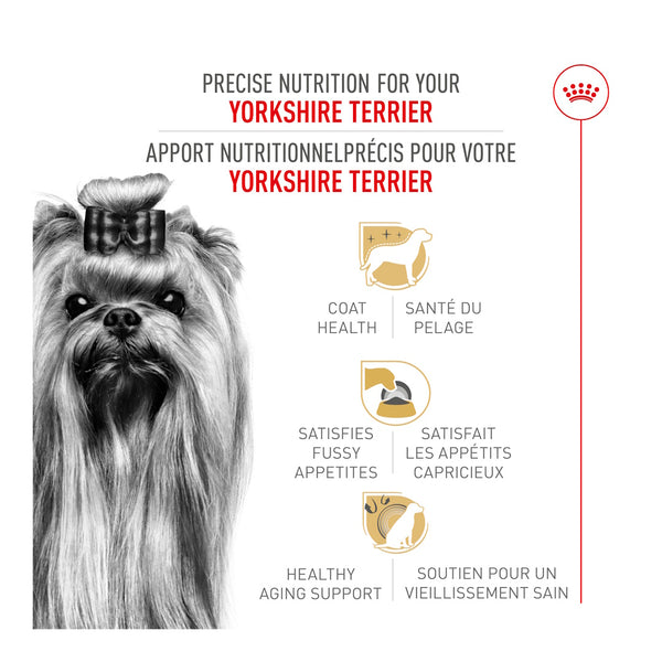YORKSHIRE TERRIER ADULTE – nourriture sèche pour chiens