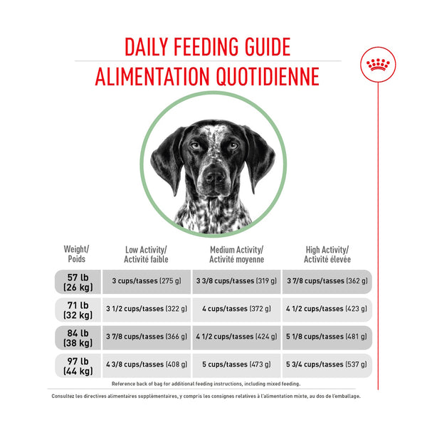 GRAND SOIN DIGESTIF – nourriture sèche pour chiens, 13.6 kg, (30 lb)