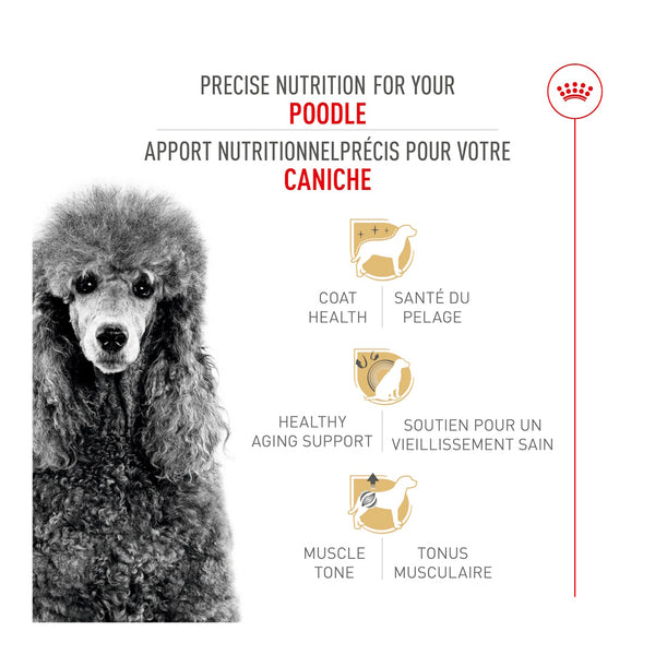 CANICHE ADULTE – nourriture sèche pour chiens