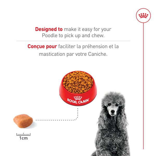 CANICHE ADULTE – nourriture sèche pour chiens