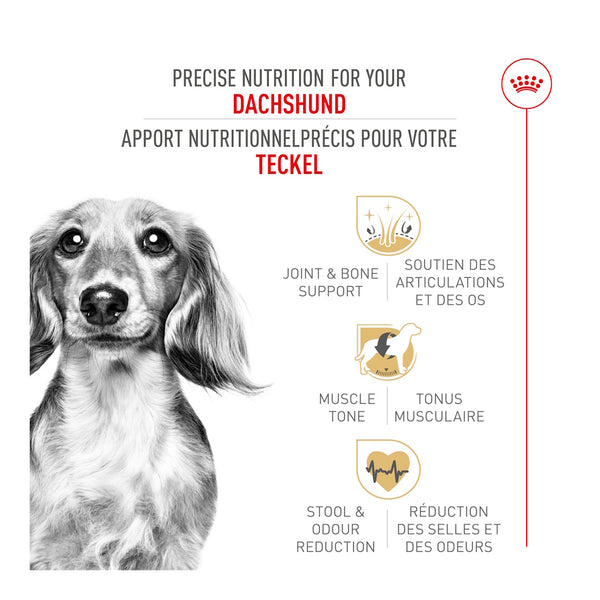 TECKEL ADULTE – nourriture sèche pour chiens