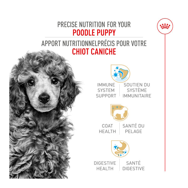 CHIOT CANICHE – nourriture sèche pour chiots, 1.1 kg, (2.5 lb)