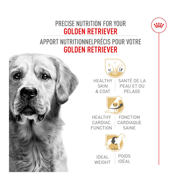 GOLDEN RETRIEVER ADULTE – nourriture sèche pour chiens