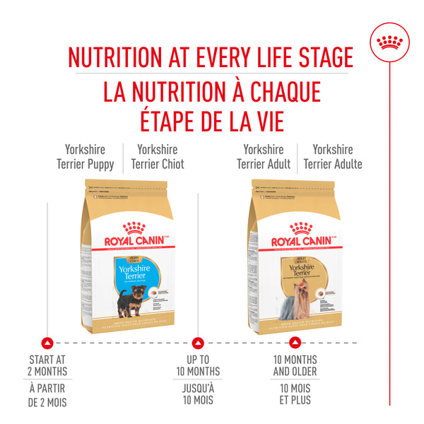 CHIOT YORKSHIRE TERRIER – nourriture sèche pour chiots, 1.1 kg, (2.5 lb)