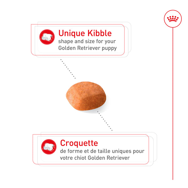 CHIOT GOLDEN RETRIEVER – nourriture sèche pour chiots, 13.6 kg, (30 lb)