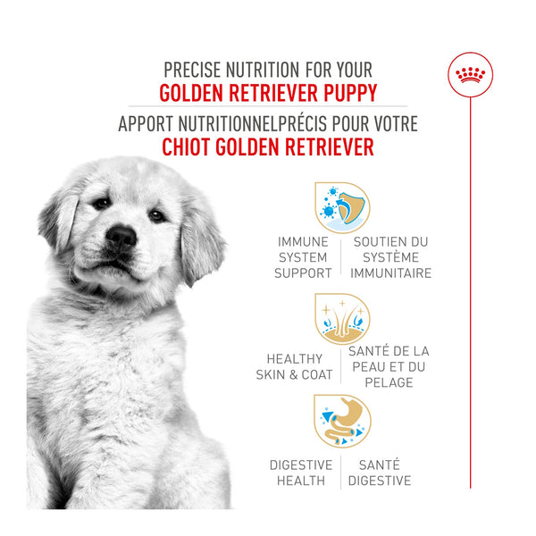 CHIOT GOLDEN RETRIEVER – nourriture sèche pour chiots, 13.6 kg, (30 lb)