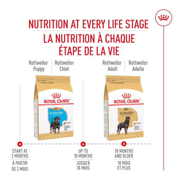 CHIOT ROTTWEILER – nourriture sèche pour chiens, 13.6 kg, (30 lb)