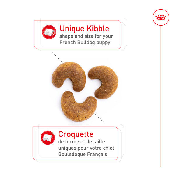 BOULEDOGUE FRANÇAIS CHIOT – nourriture sèche pour chiots